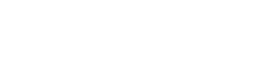 Höegh Evi